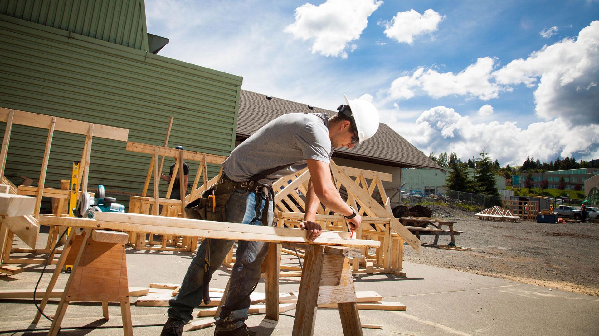 carpentry services in aurora illinois